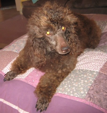 Beautiful Charlotte on 12 August 2012